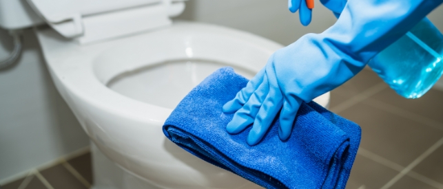 Come pulire i sanitari